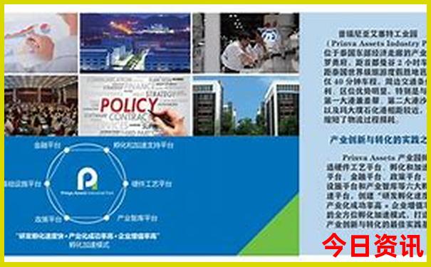 重庆市有哪些好玩的景点
